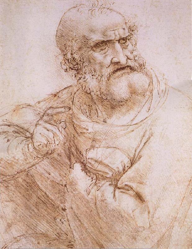 LEONARDO da Vinci Study of an apostle Sweden oil painting art
